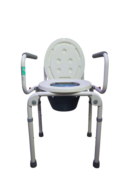 SANITARIO CON APOYABRAZOS ABATIBLE