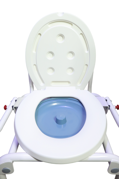 SANITARIO CON APOYABRAZOS ABATIBLE